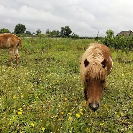 Du Daudou Piscine Jacuzzi Partages
