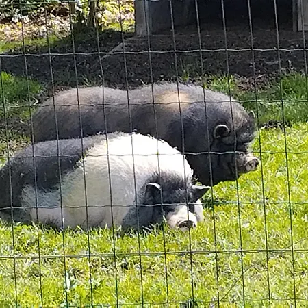 Du Daudou Piscine Jacuzzi Partages 3*