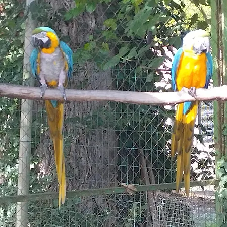 בית הארחה Du Daudou Piscine Jacuzzi Partages 3*