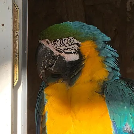 בית הארחה Du Daudou Piscine Jacuzzi Partages