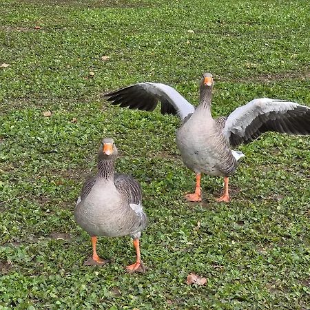 בית הארחה Du Daudou Piscine Jacuzzi Partages