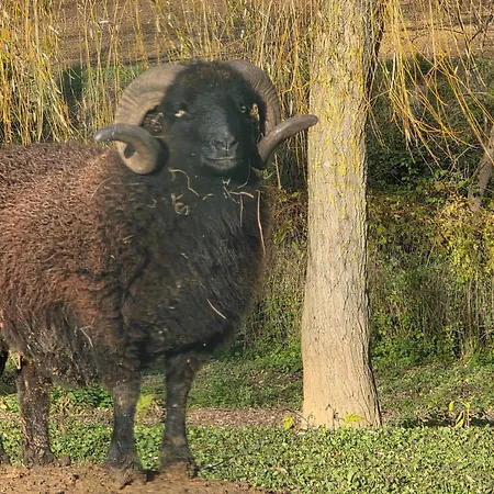 בית הארחה Du Daudou Piscine Jacuzzi Partages 3*