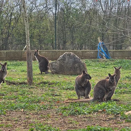 Du Daudou Piscine Jacuzzi Partages 3*