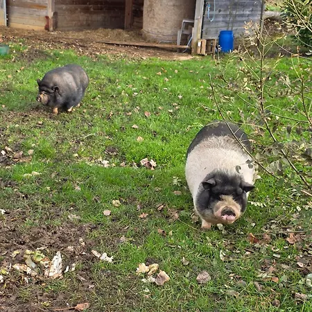 Du Daudou Piscine Jacuzzi Partages
