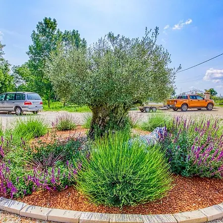 Du Daudou Piscine Jacuzzi Partages 3*