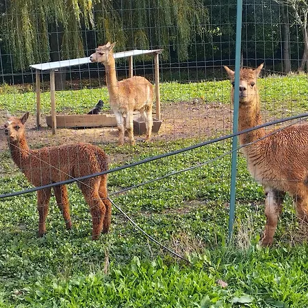 Du Daudou Piscine Jacuzzi Partages Гостевой дом 3*