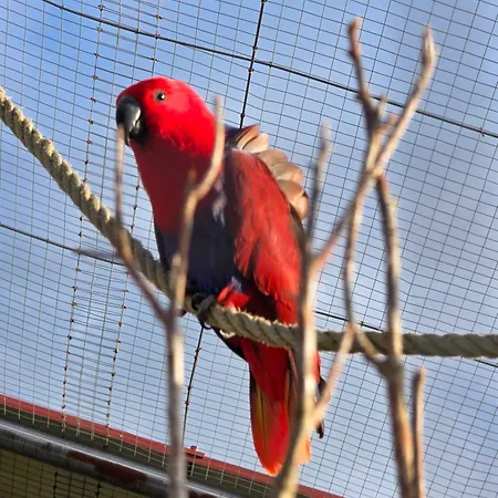 Du Daudou Piscine Jacuzzi Partages 3* Septfonds