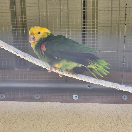 Гостевой дом Du Daudou Piscine Jacuzzi Partages Septfonds