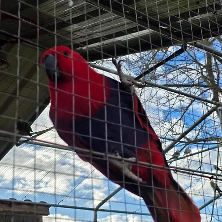 Du Daudou Piscine Jacuzzi Partages 3* Septfonds