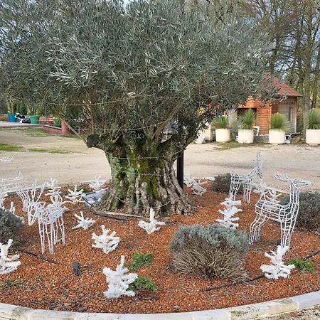 Гостевой дом Du Daudou Piscine Jacuzzi Partages